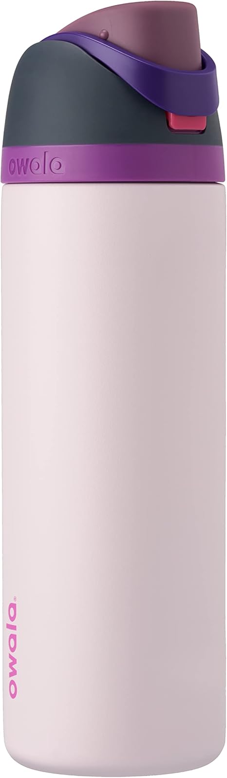 Owala FreeSip Insulated Stainless Steel Water Bottle with Straw for Sports, Travel, and School BPA-Free Sports Water Bottle, 24 oz, Dreamy Field